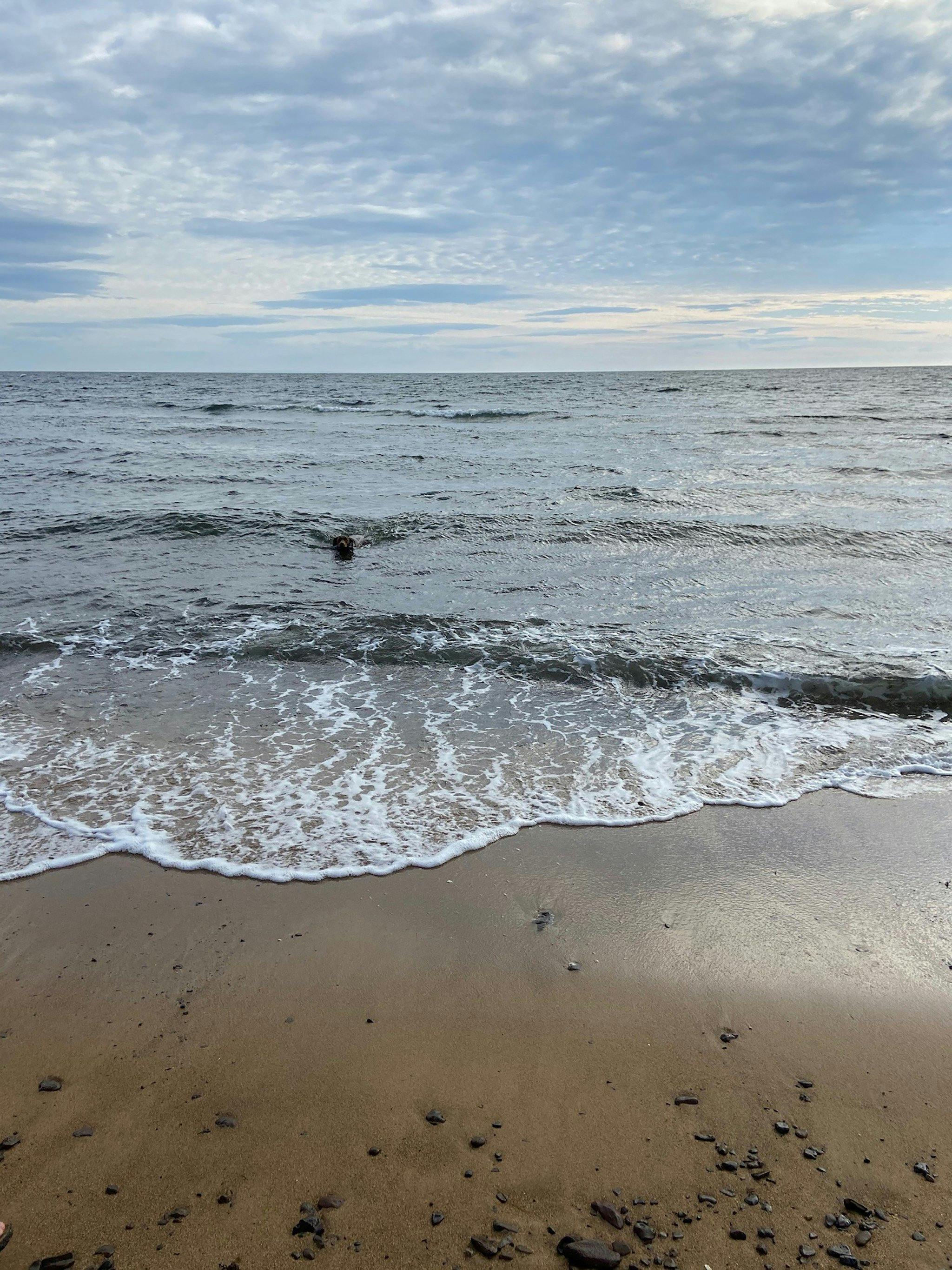 Royal Beach, Mornington