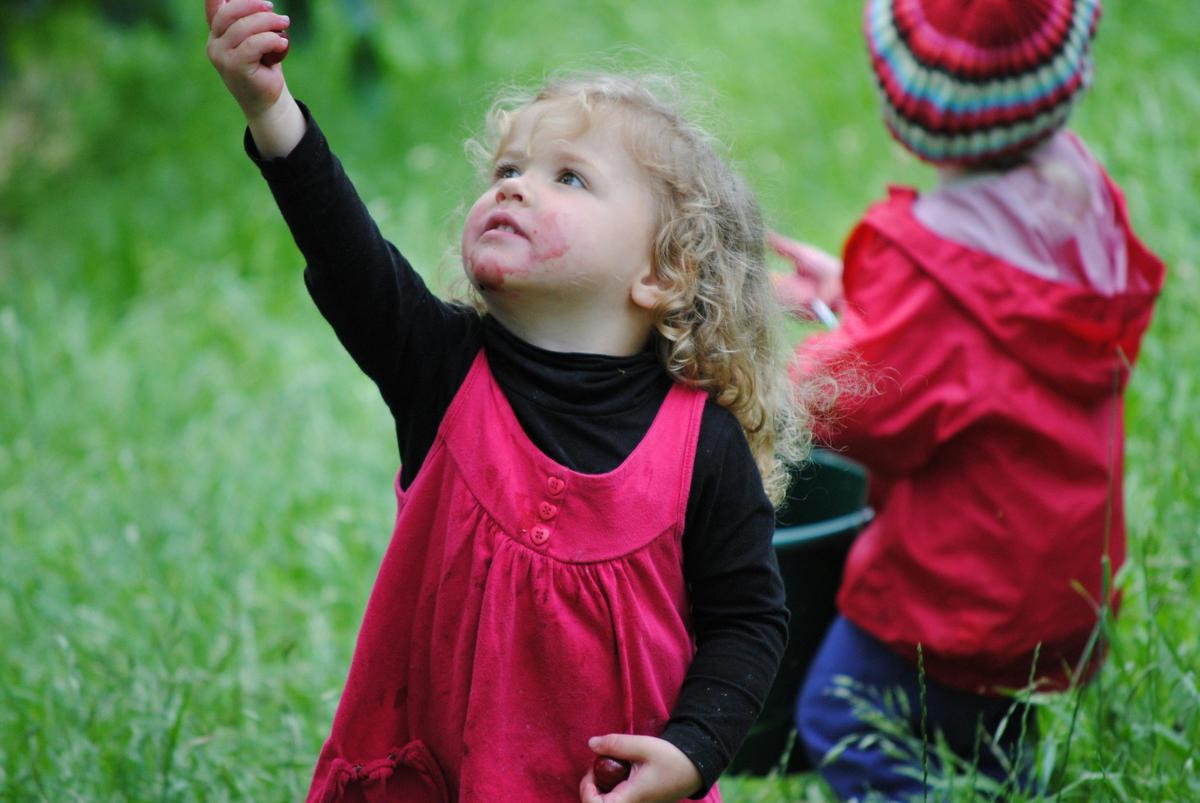 Cherry picking