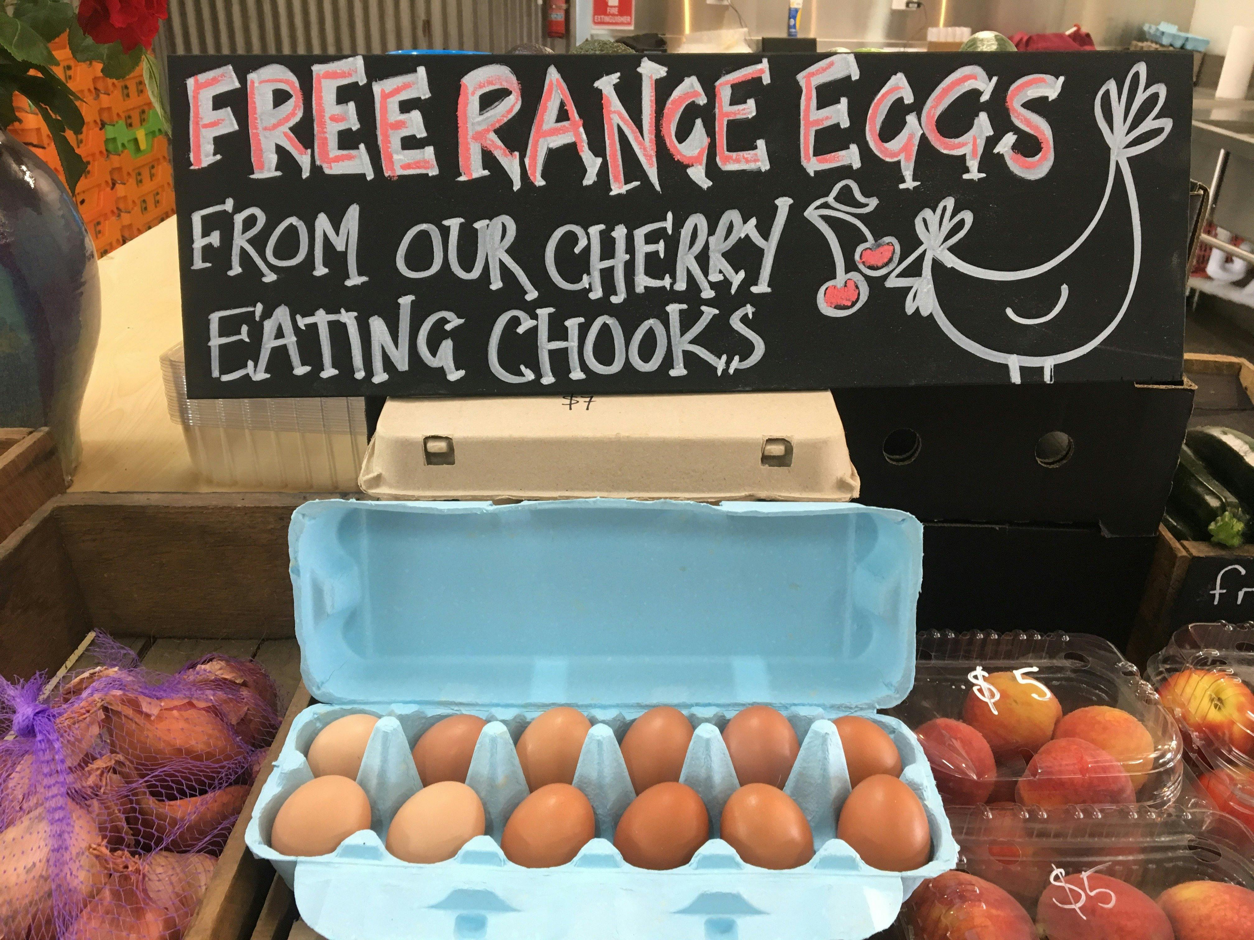Free range eggs