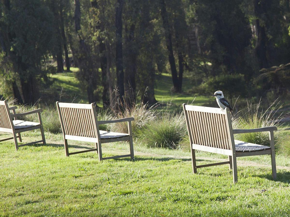 ATDW_Extra_Large_Landscape__9755418_DY43_Benches.jpg