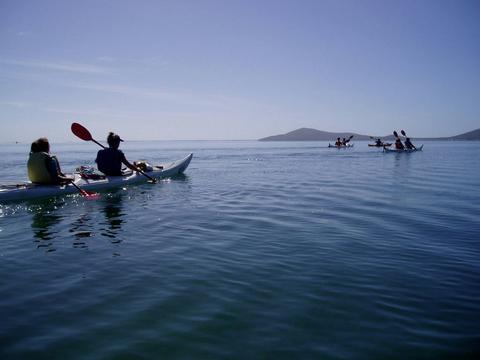 sea kayaking to Tin MIne Cove