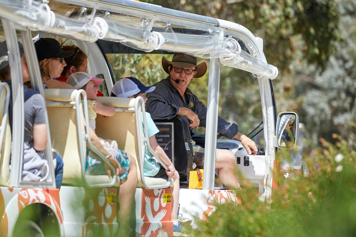 The Explorer Bus