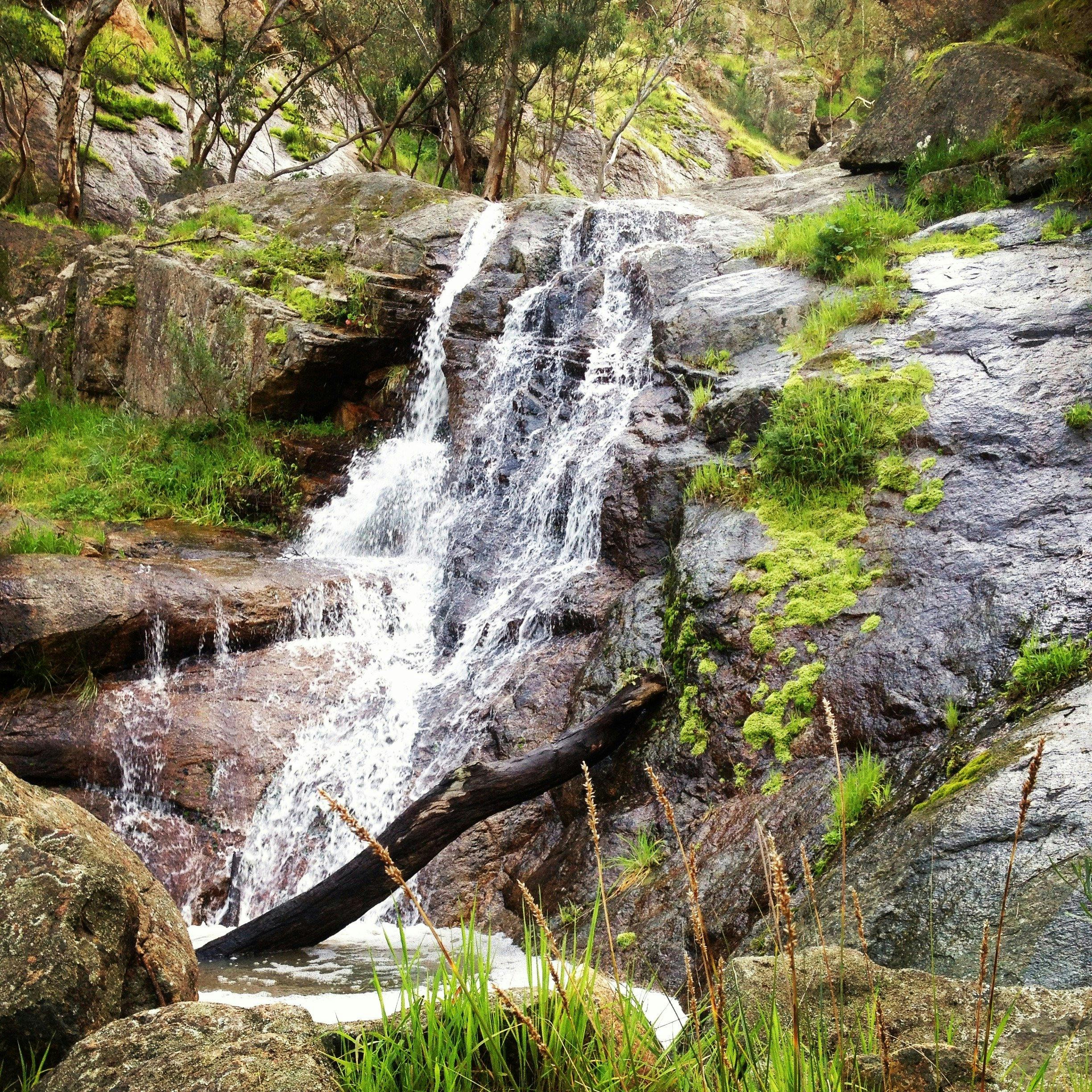 Waterfall during Winter, Warby Ovens National Park