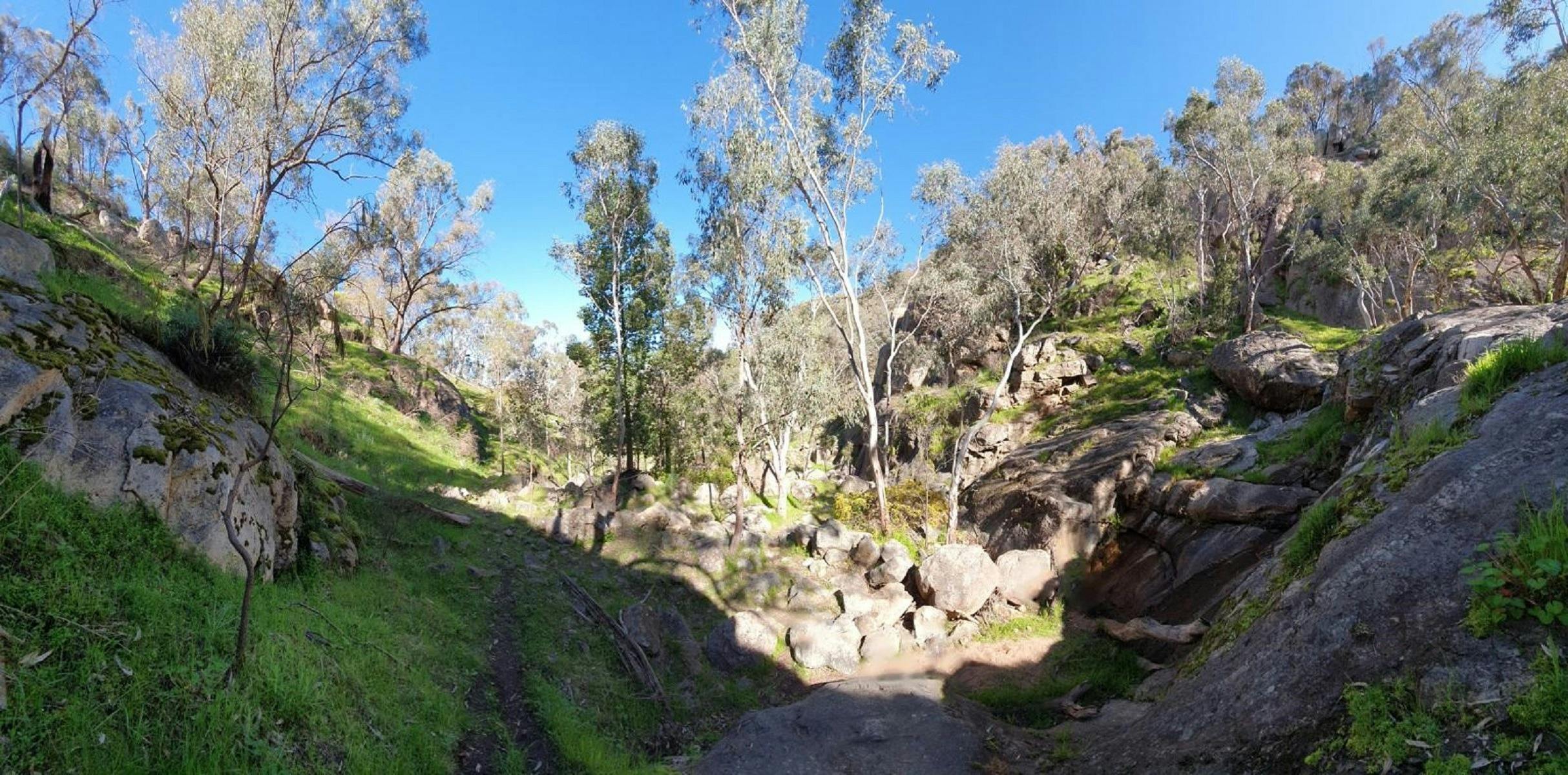 Warby Ovens National Park