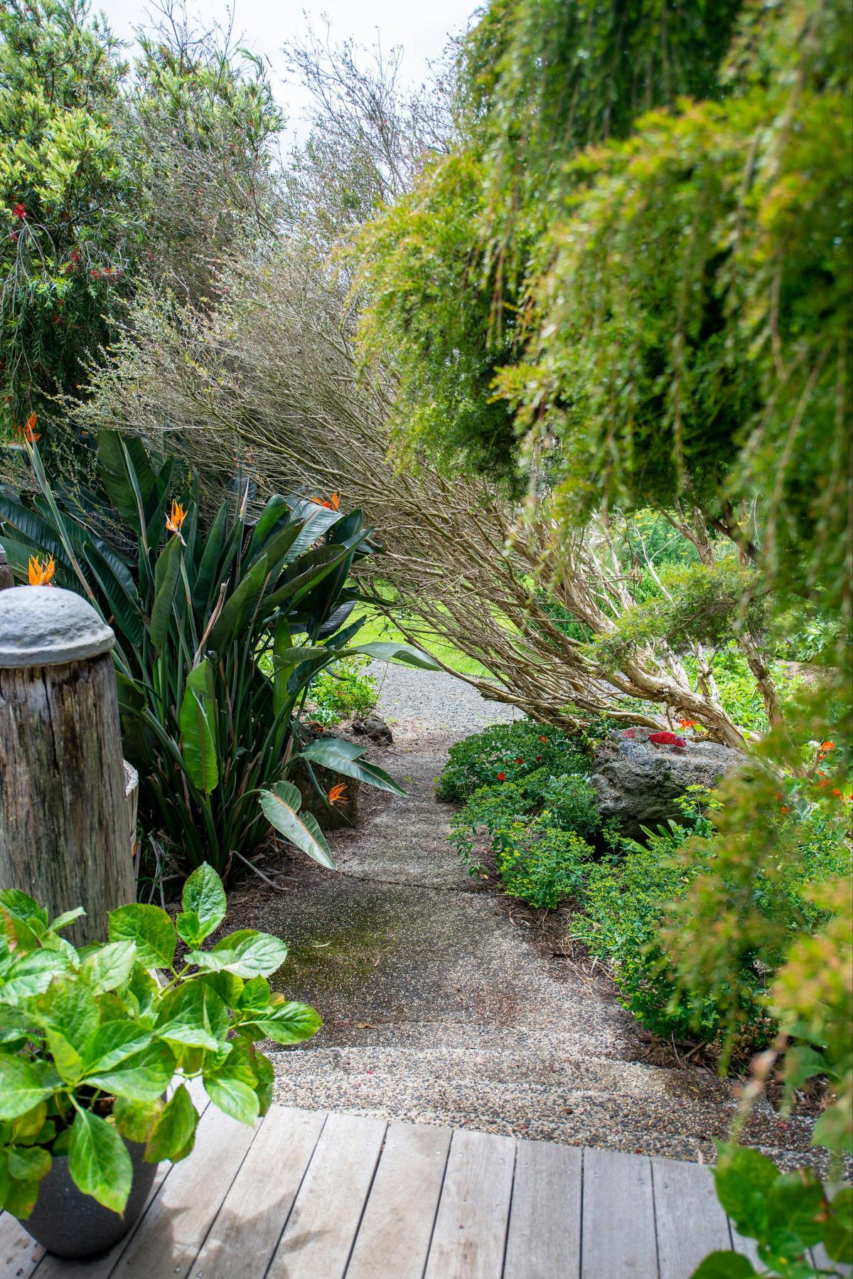 Garden view from balcony