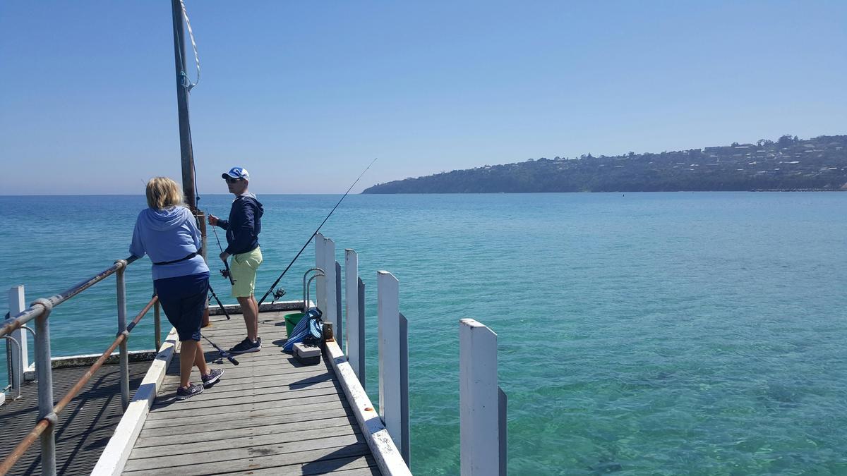 Safety Beach Pier