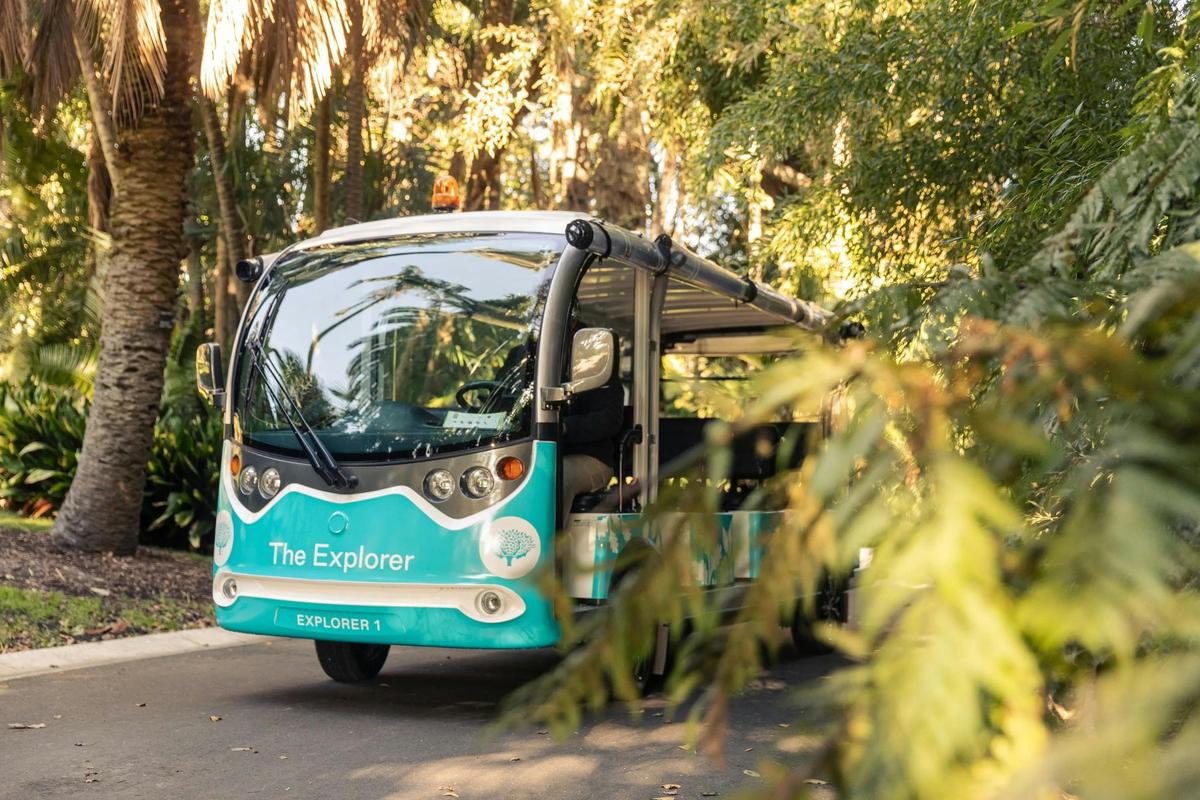 Explorer Bus