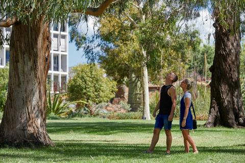Man and woman looking at eucalypt tree trunk