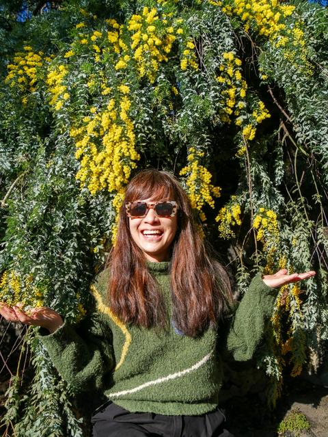 Wattle Walk