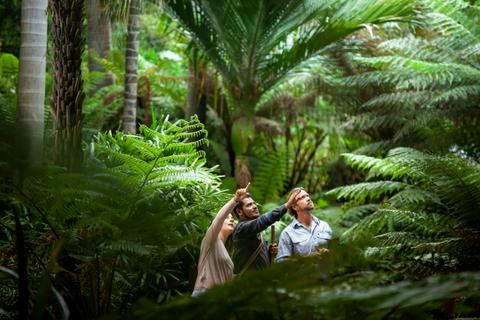 Aboriginal Guide with visitors in Fern Gully