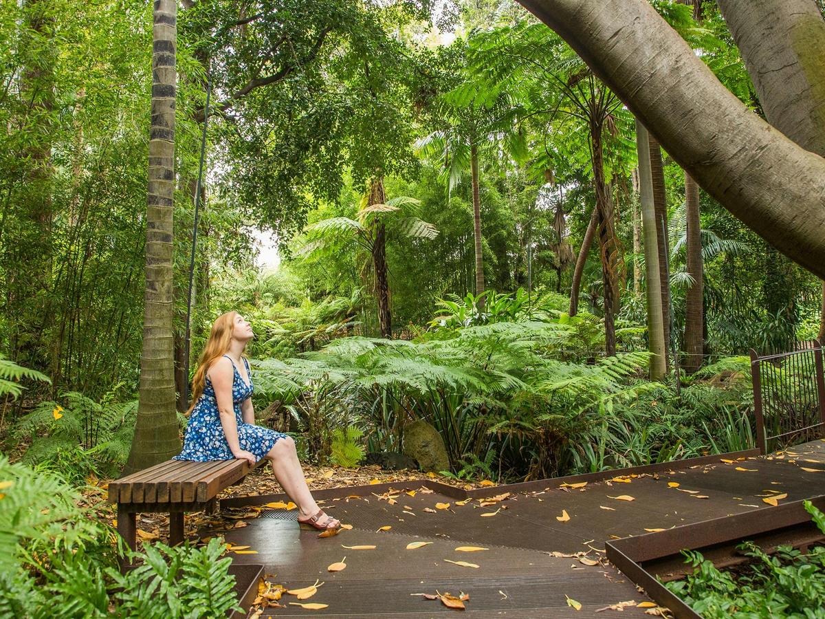 Woman looking up at ferns in lush green surroundings