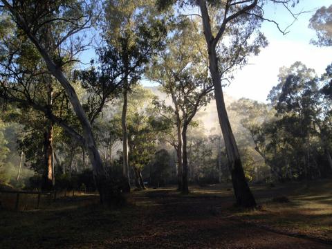 Running Creek Camping Area