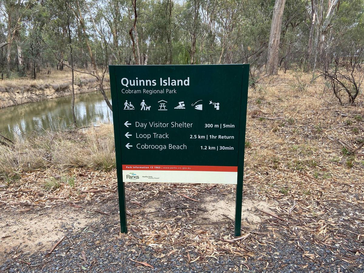 Quinn Island
