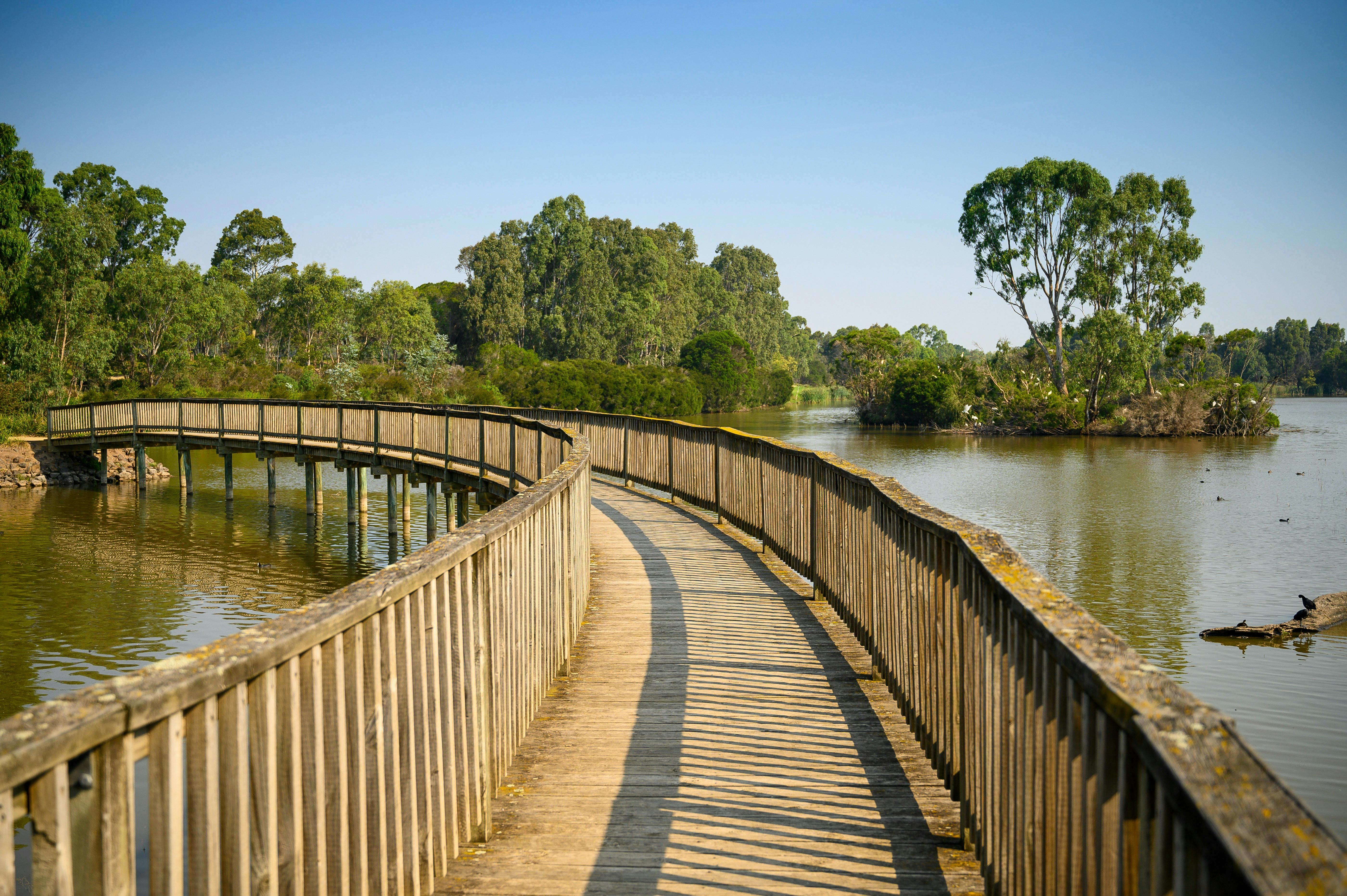 Sale Common Wetlands boardwalk
