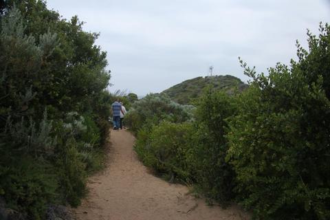 Range Area Walk (Point Nepean National Park)
