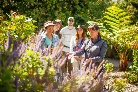 Free Australian Garden Walk
