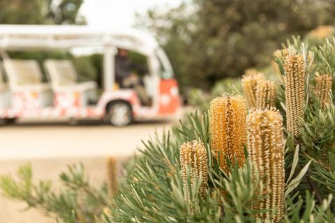 Australian Plant Safari Bus