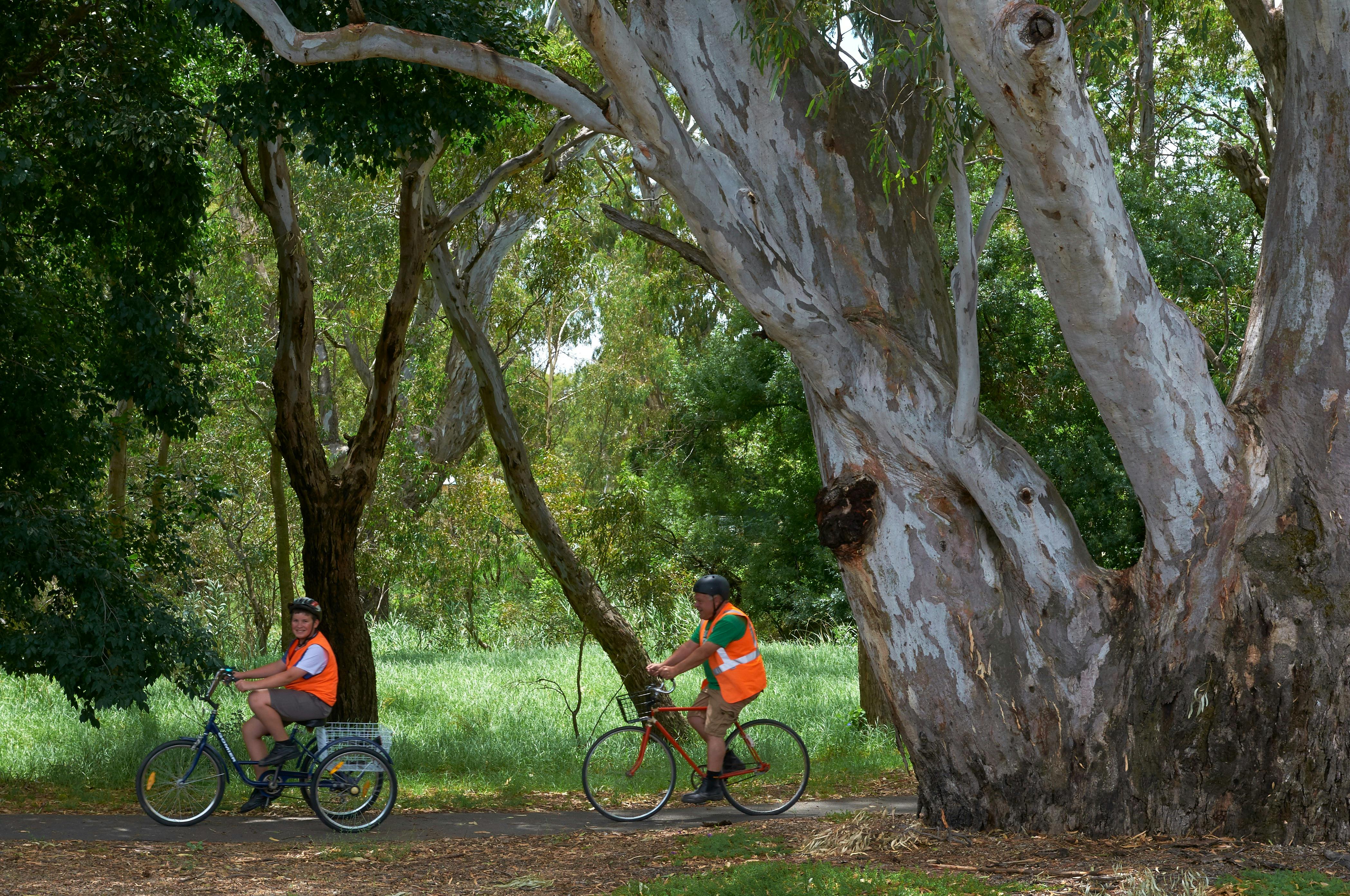 Cyclists on Seven Creeks Track