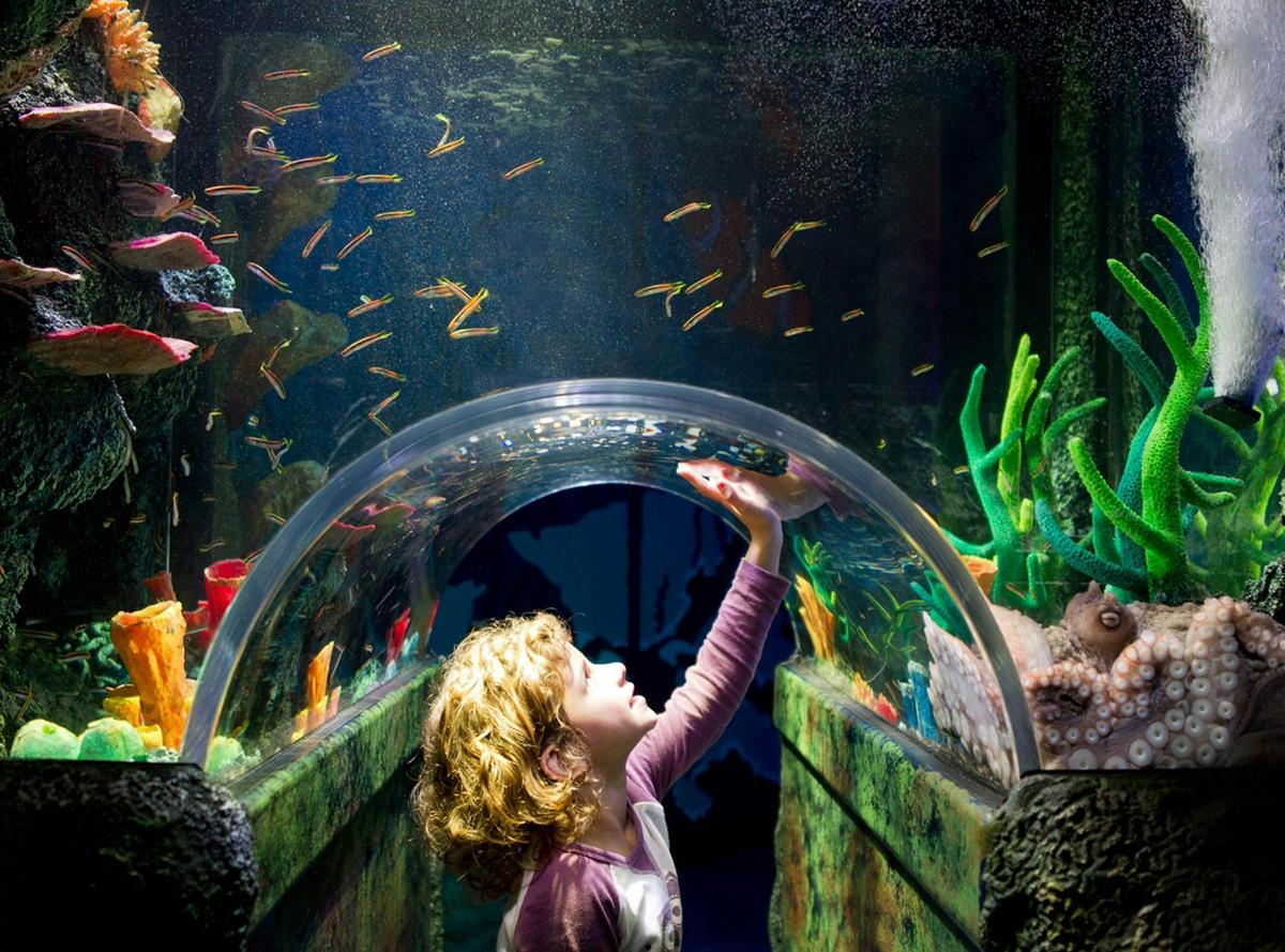 SEA LIFE Melbourne Aquarium