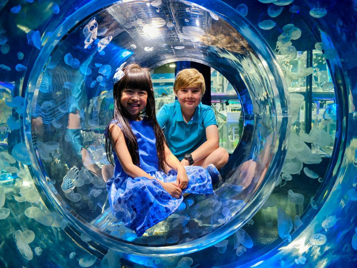 SEA LIFE Melbourne Aquarium