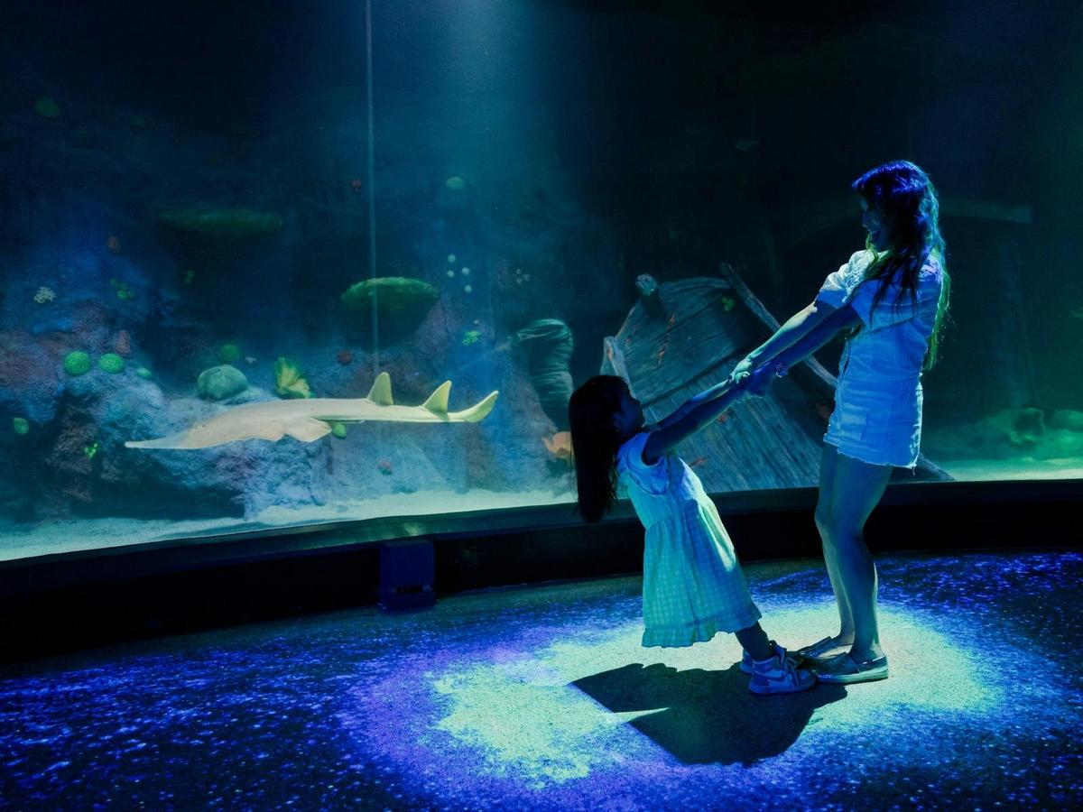 SEA LIFE Melbourne Aquarium
