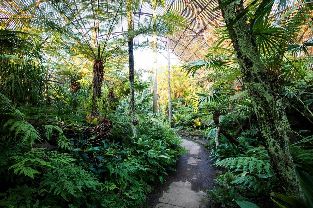 Rippon Lea Estate Gardens