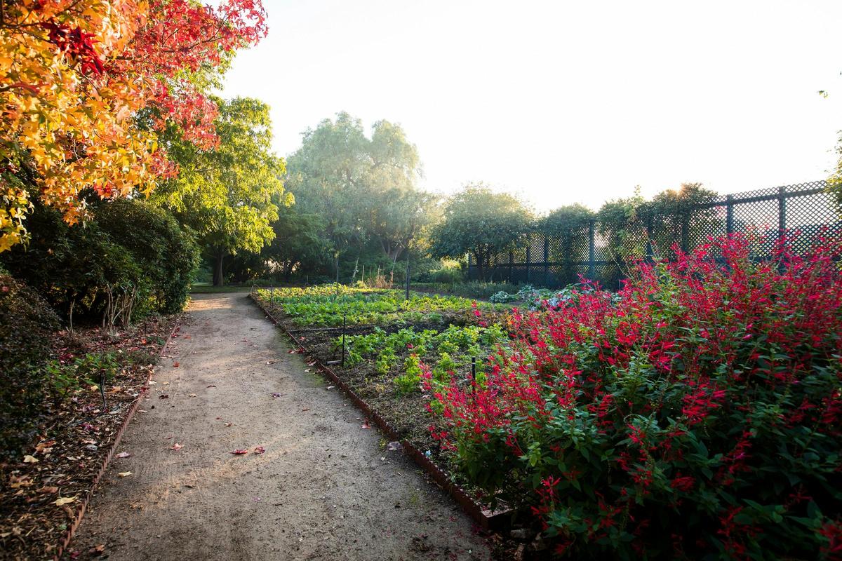 Rippon Lea Estate Gardens