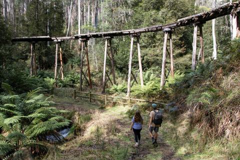 Rubicon Heritage and Dam Walk