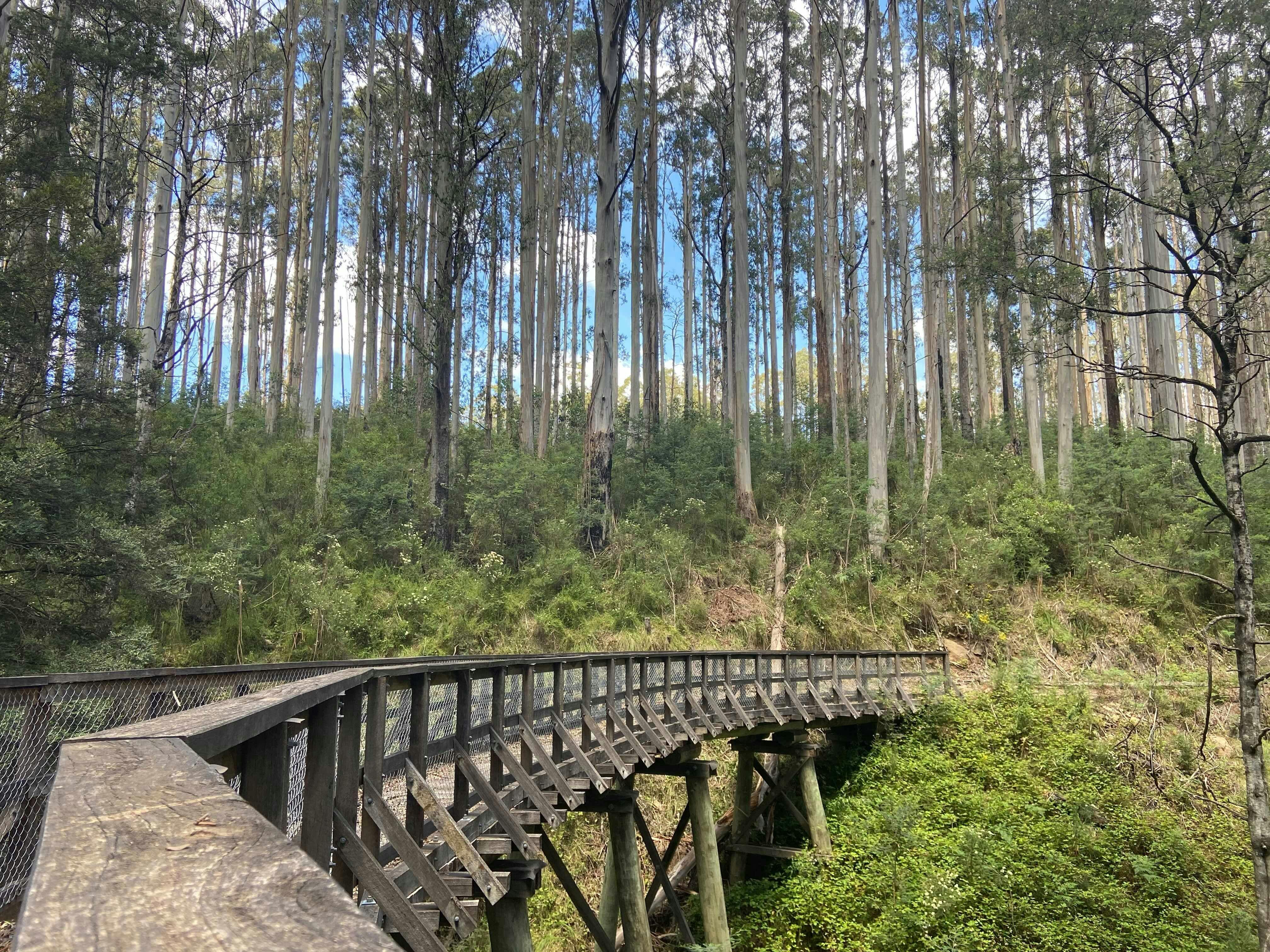 Beech Creek Trestle Bridge
