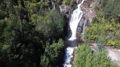 Steavenson Falls