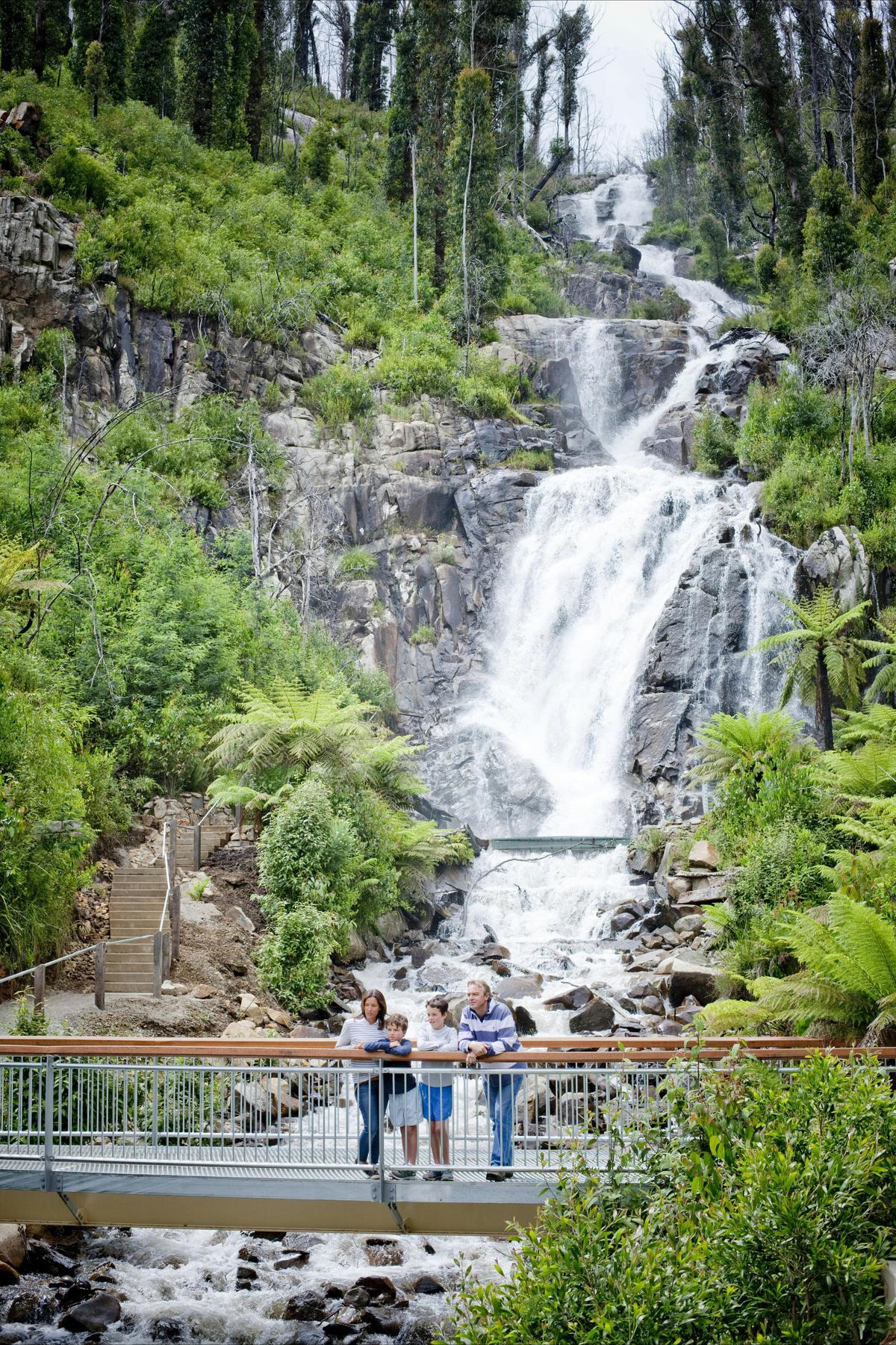Steavenson Falls
