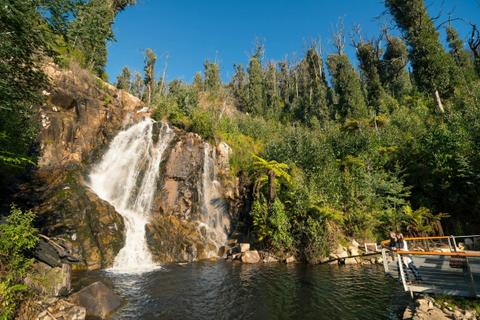 Steavenson Falls