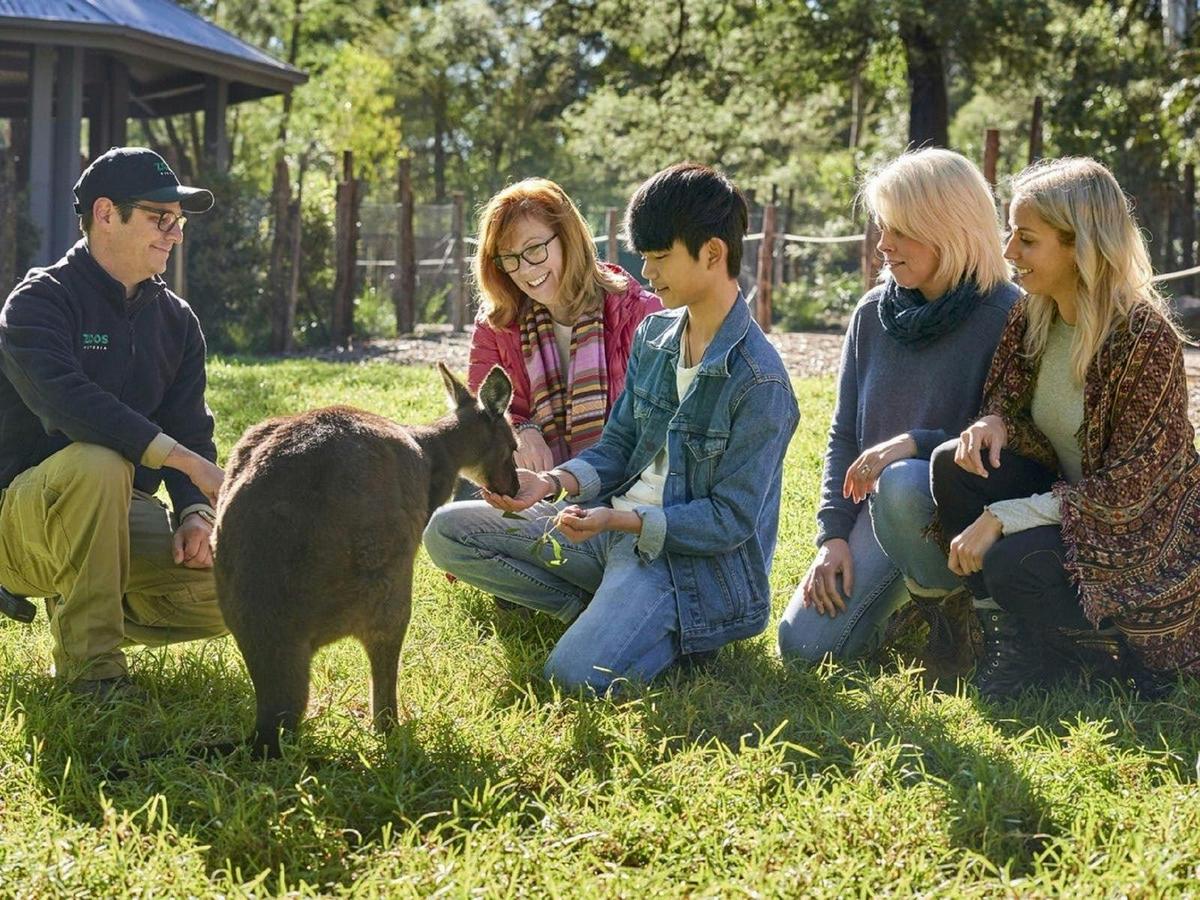 Meet the Kangaroos with Rotor One