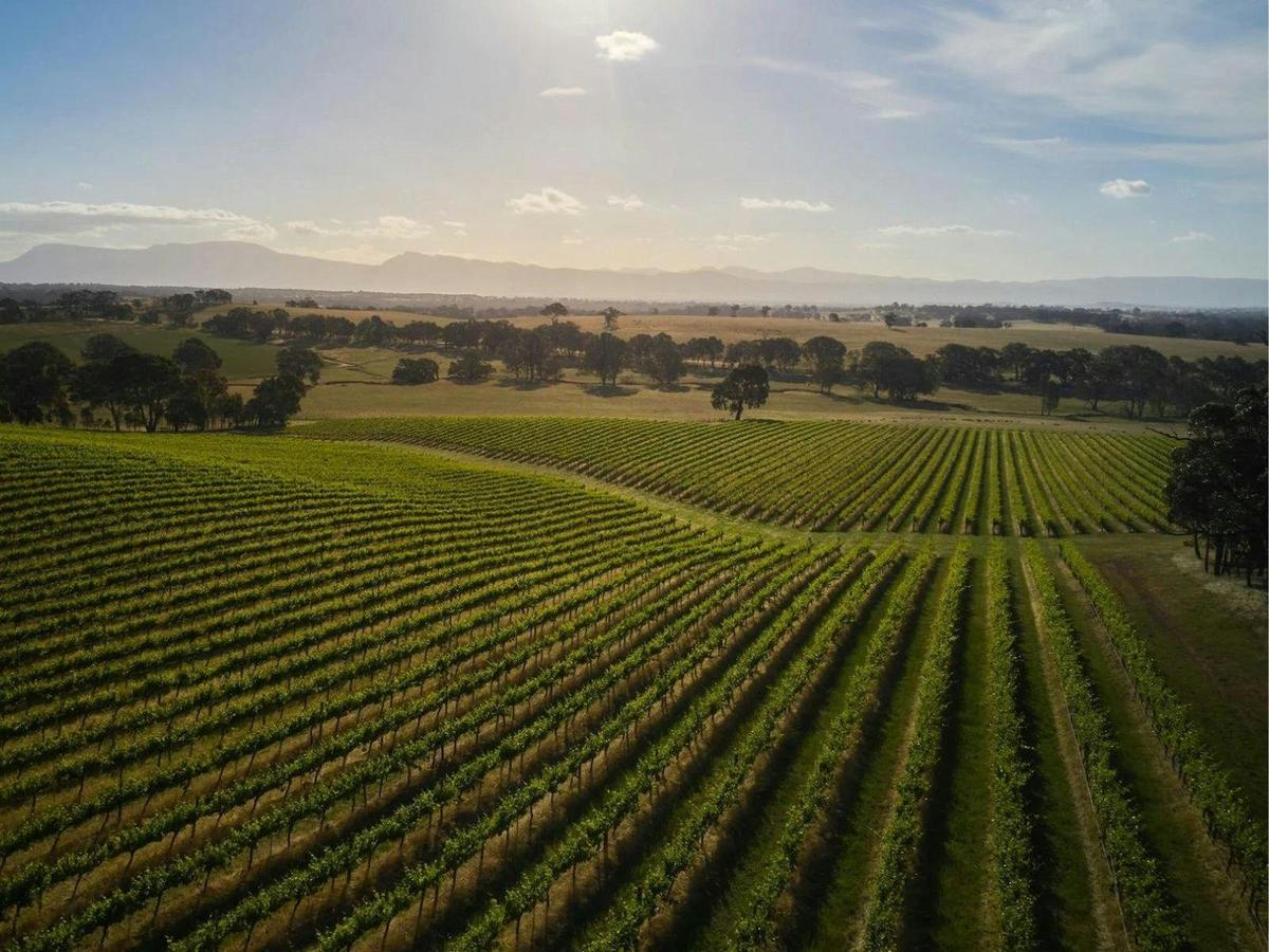 Melbourne to Grampians Helicopter Tour