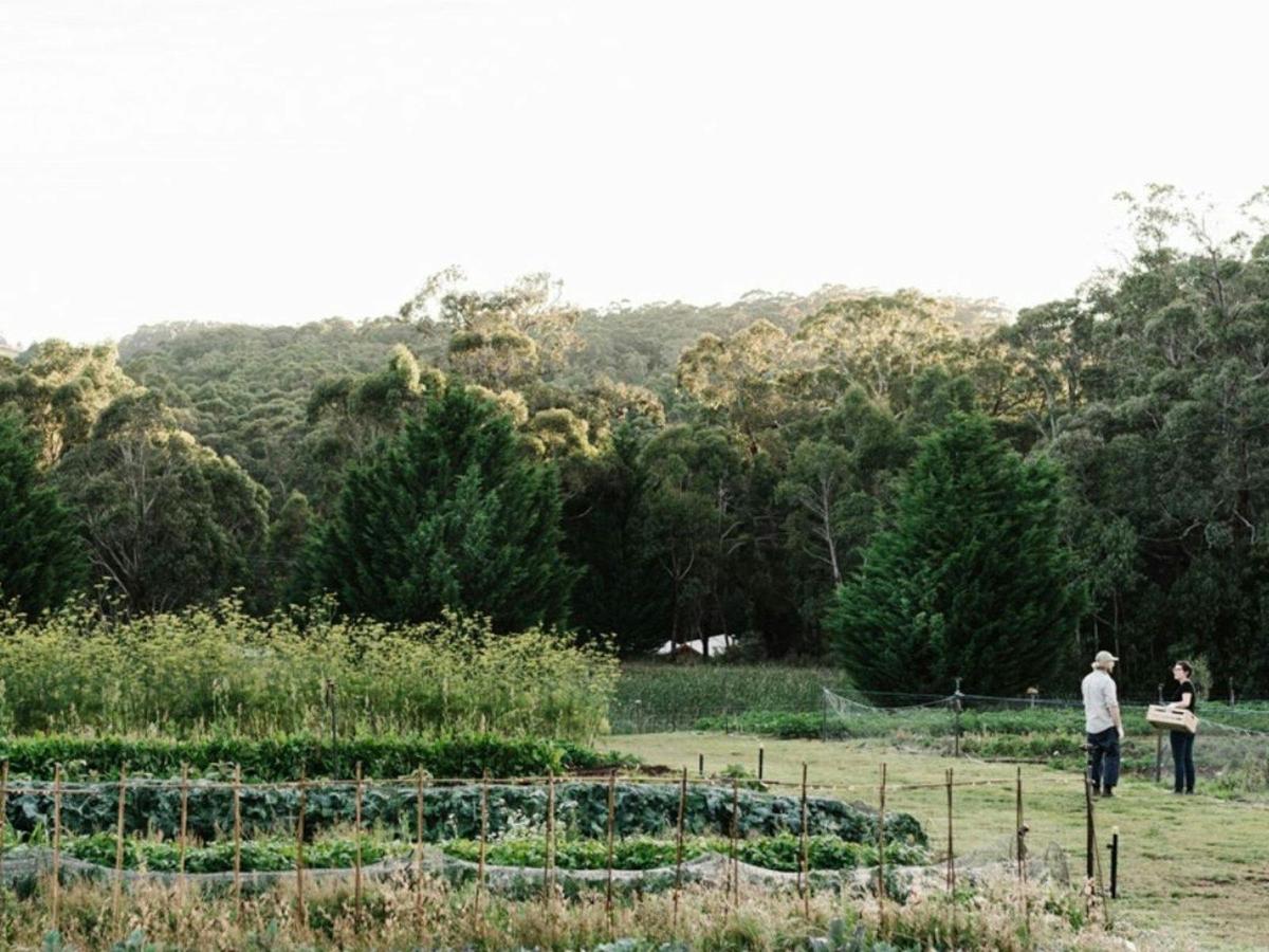 Helicopter Flight to  Lake House Daylesford