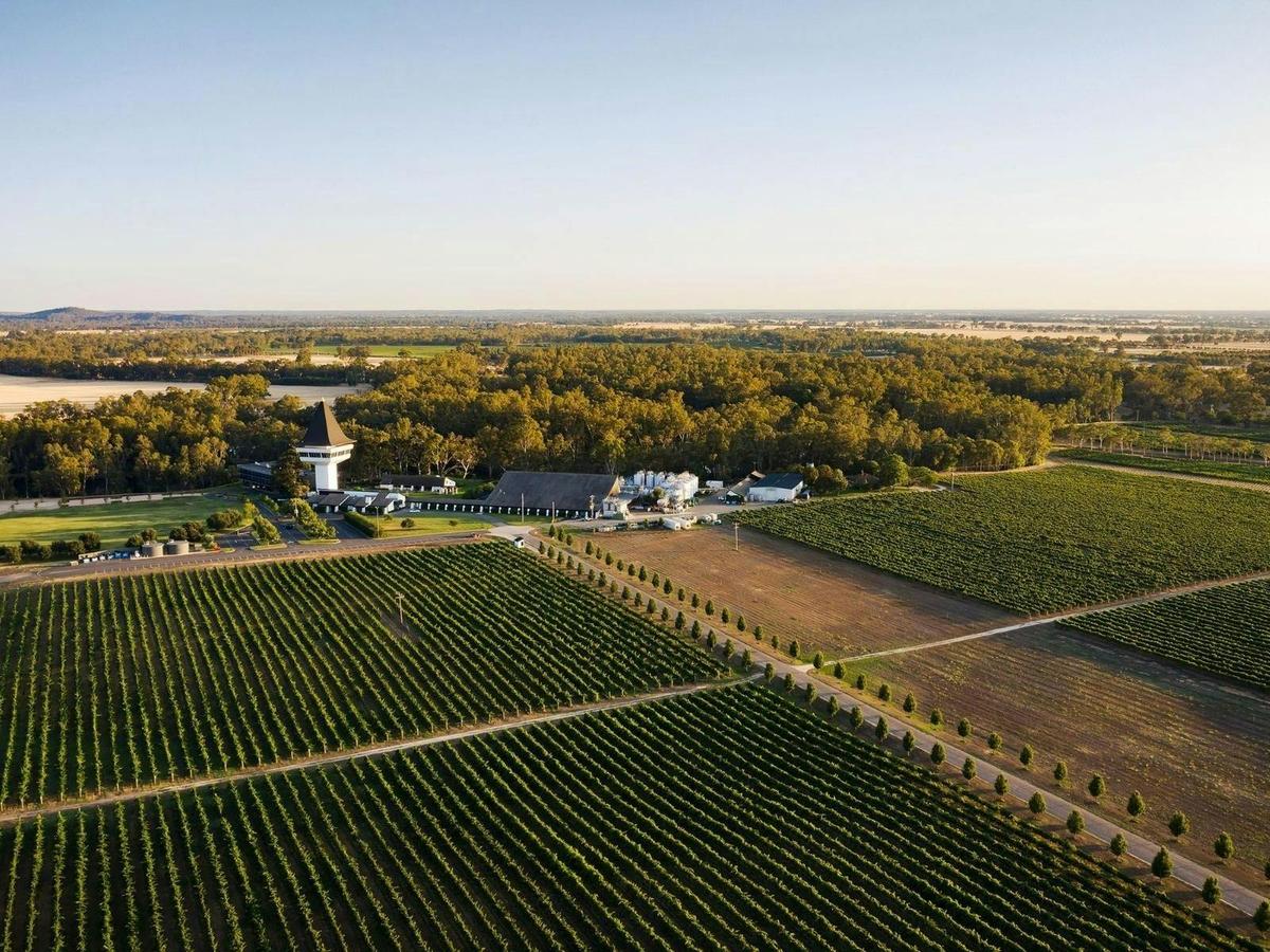 Bird's eye view of Mitchelton Winery