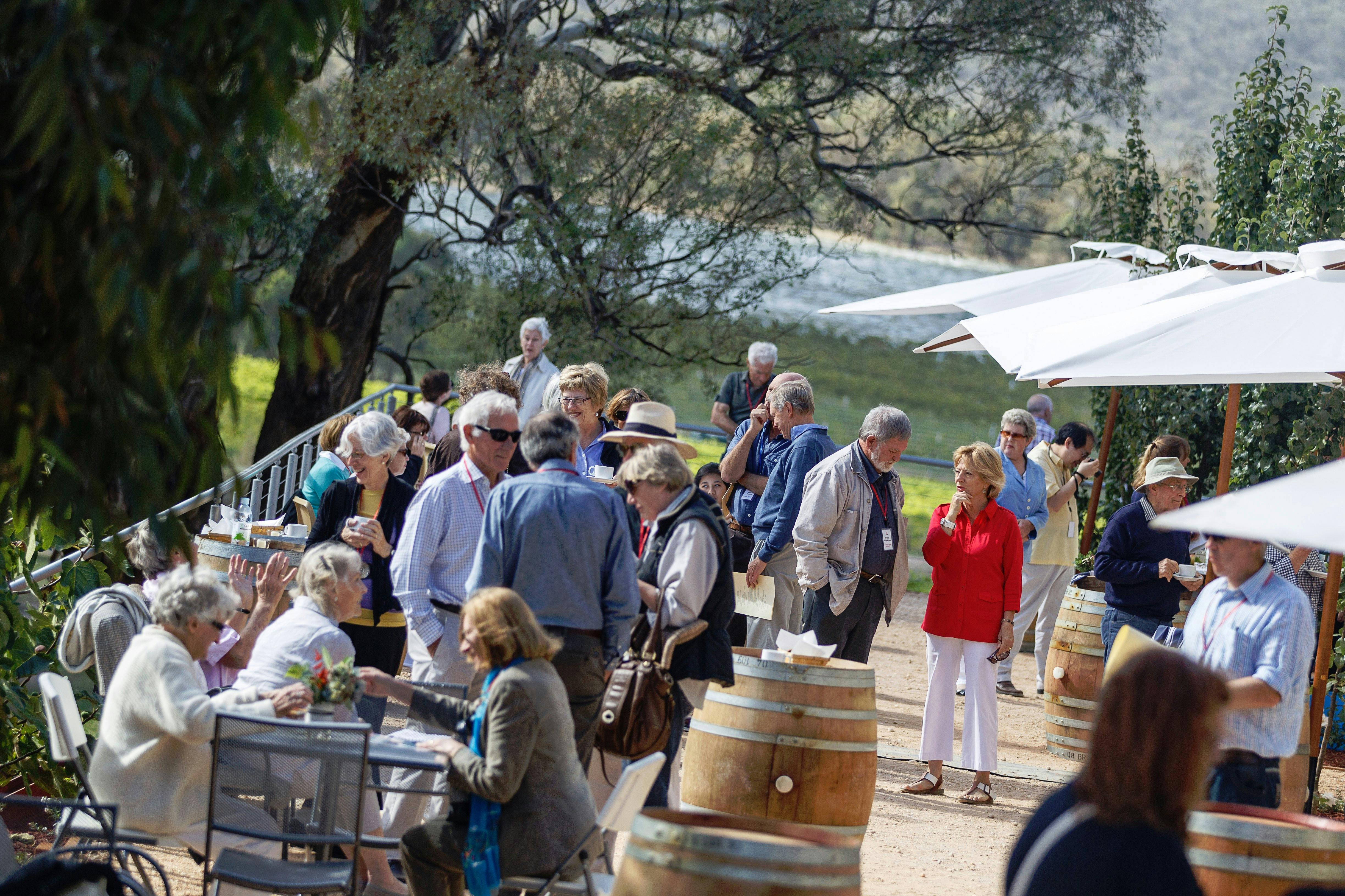 Sights and sounds of the Sanguine Estate Music Festival