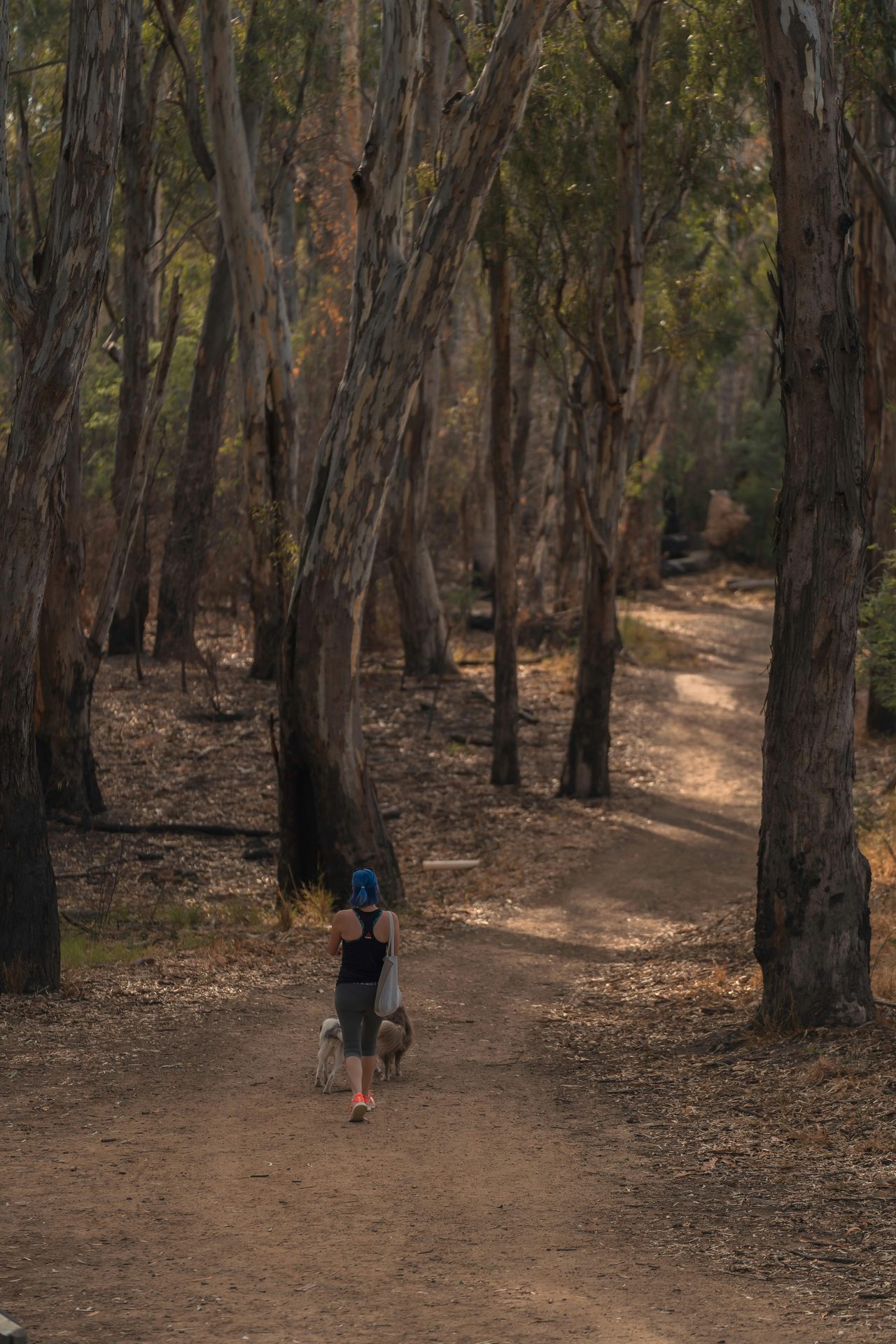 Enjoy the peaceful bushland