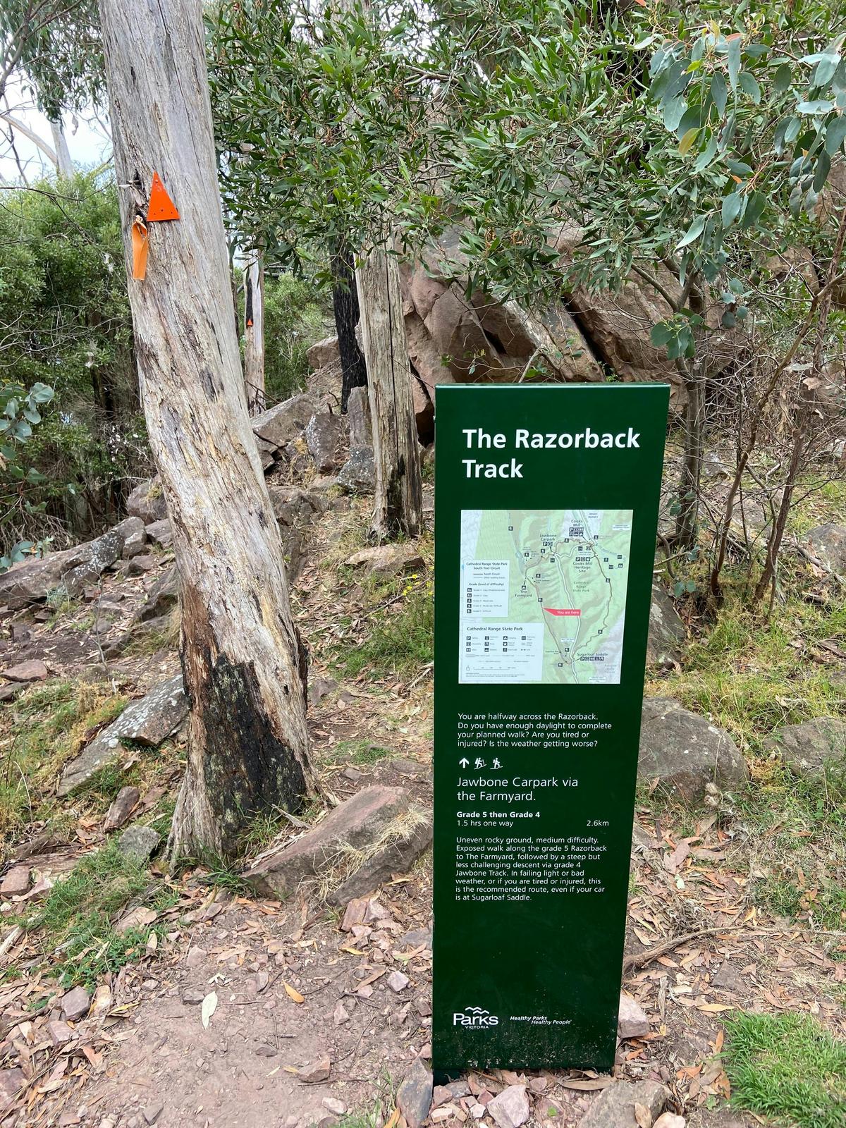 Razorback Track