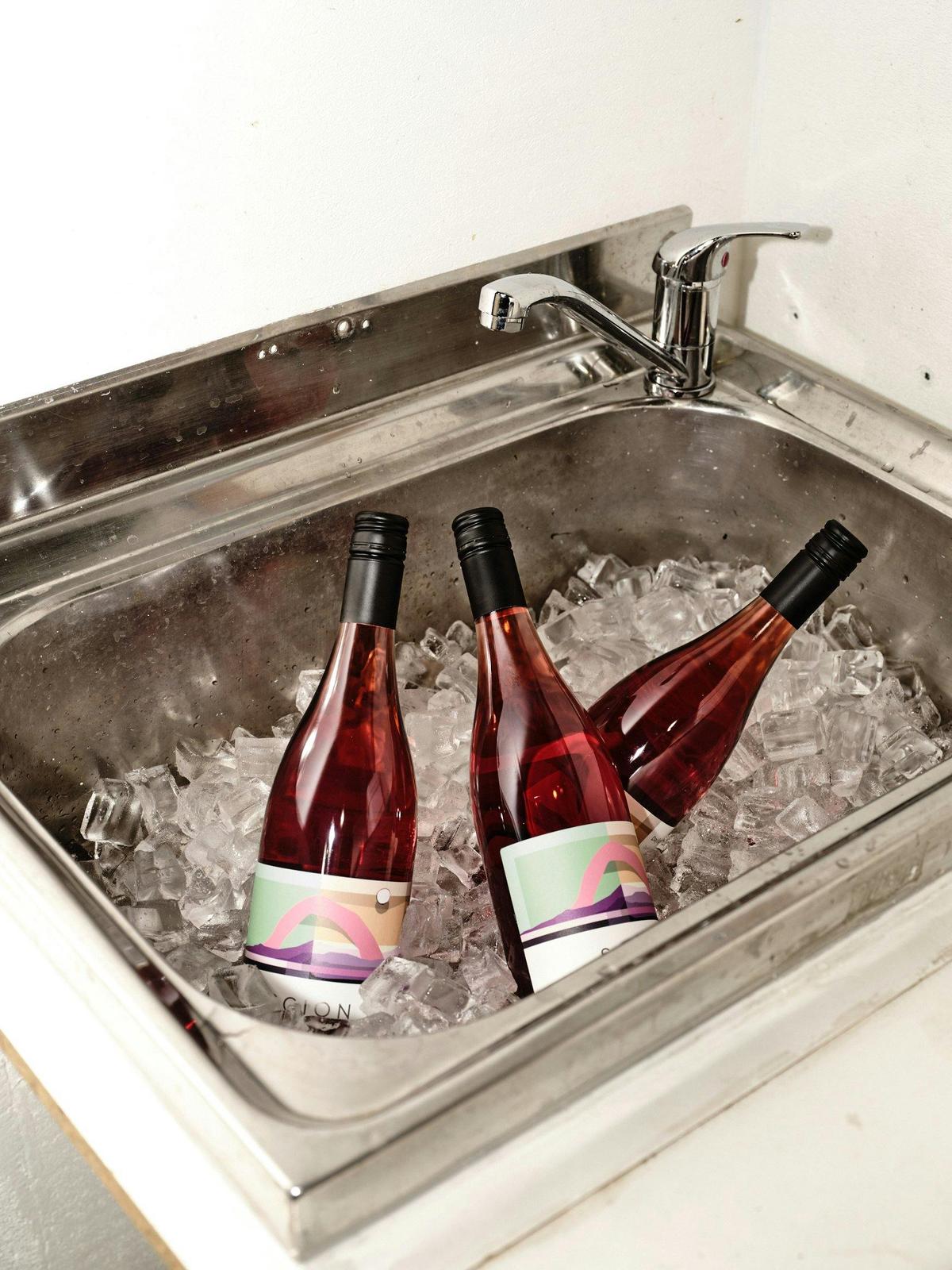 Chilled wines at Scion