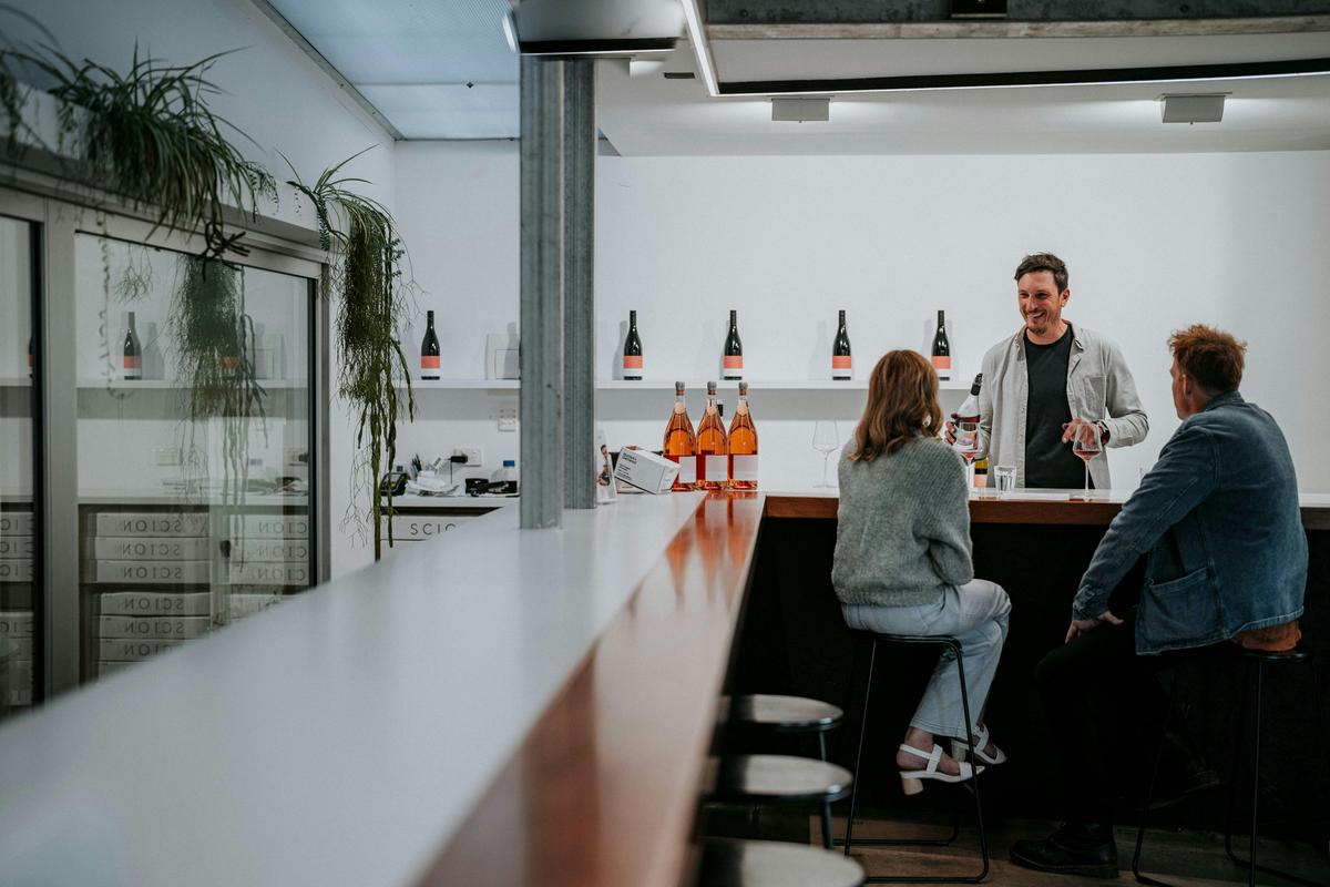 Scion's contemporary cellar door
