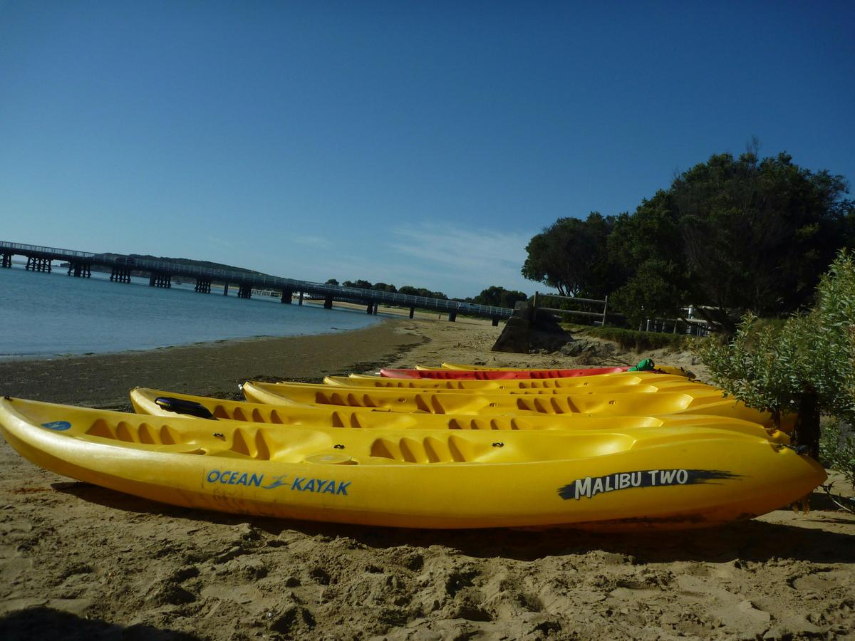 Ocean Grove Barwon River Kayaking
