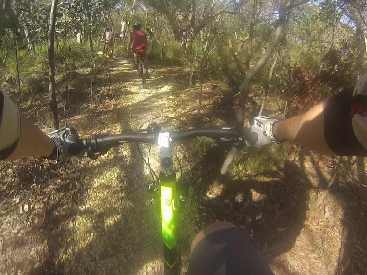 Great Ocean Road Ironbark Mountain Biking