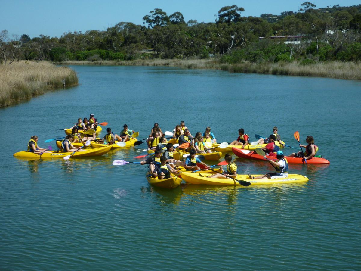 Anglesea River kayaking