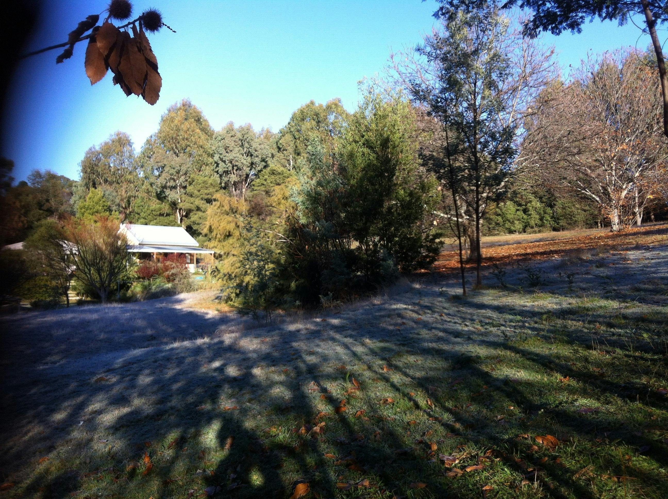 Sunny north-facing Cottage