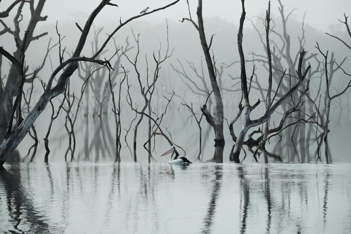 Rocklands Reservoir