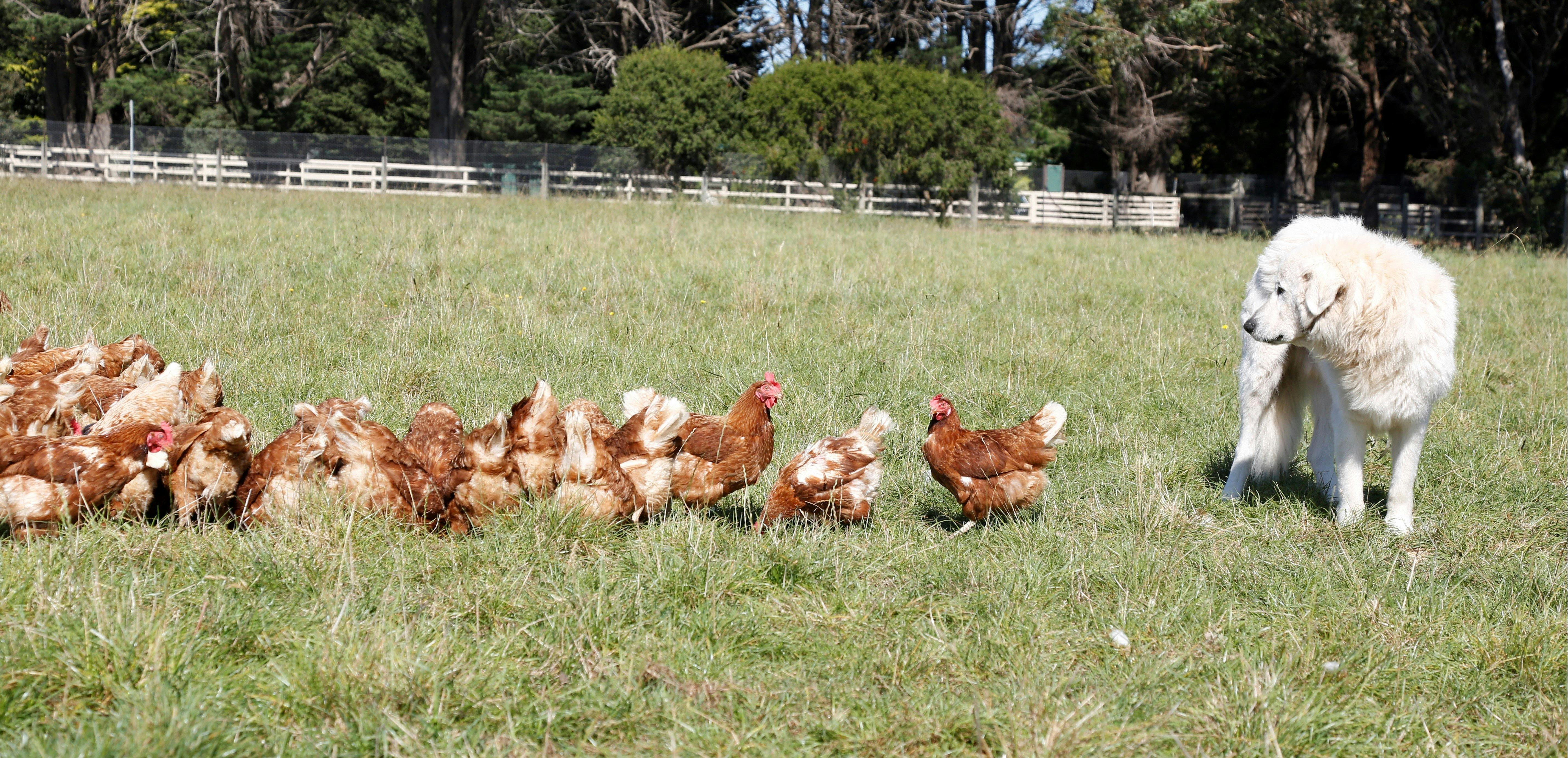 Romy leading the girls