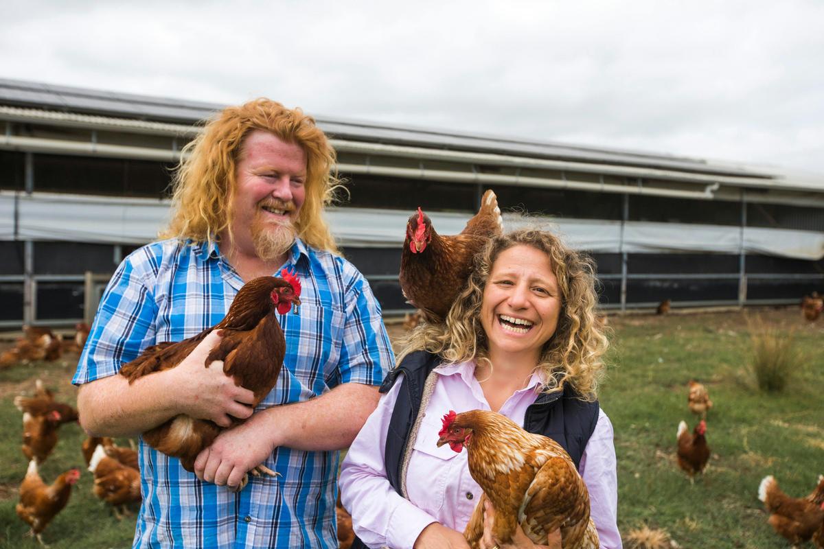 Mischievous chook