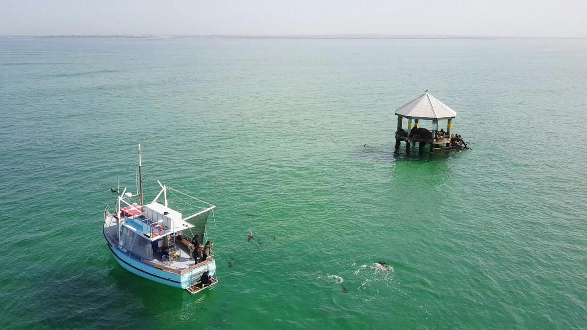 Maureen at Chinamans Hat