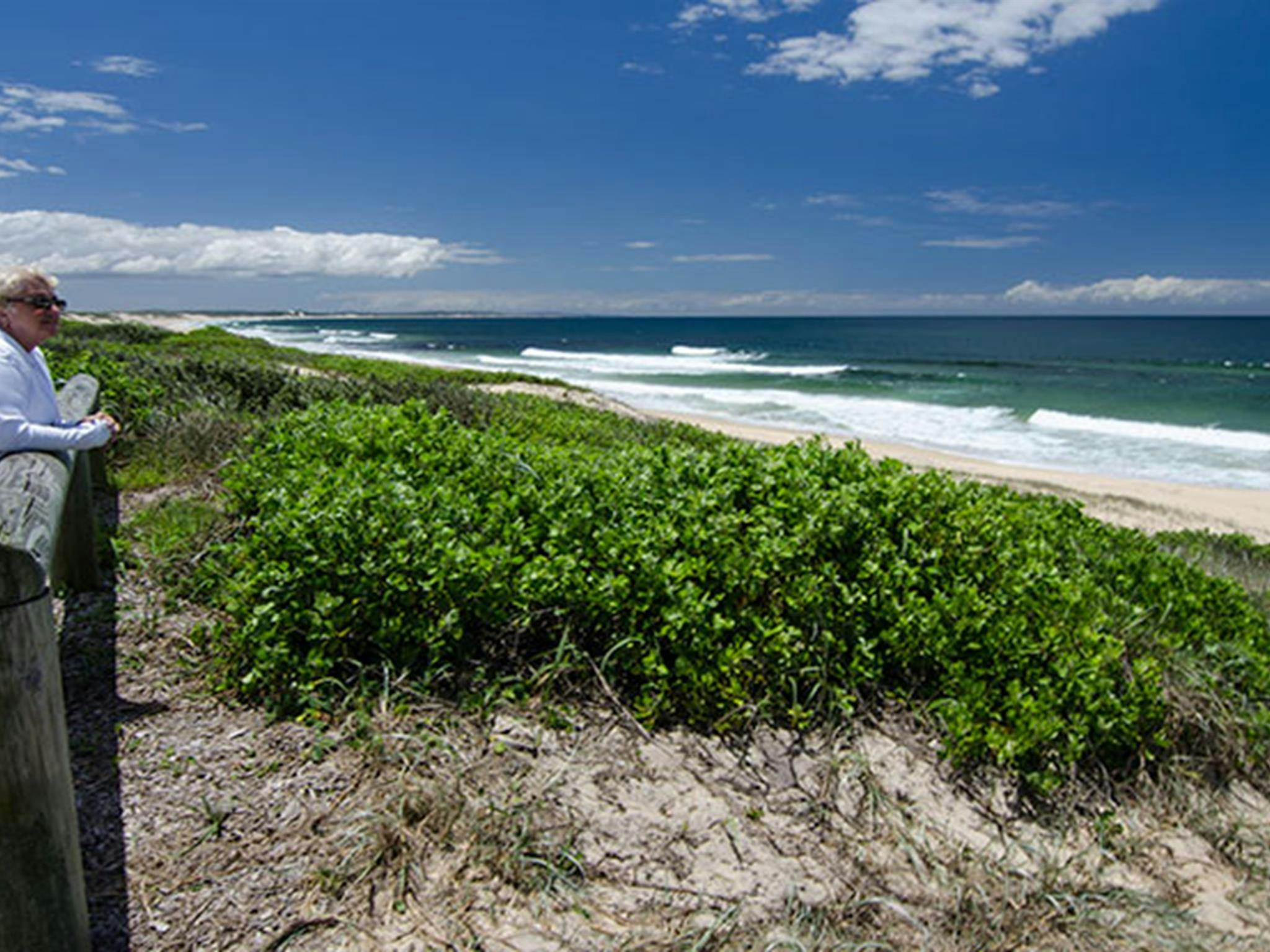 Hole in the Wall picnic area, Myall Lakes National Park. Photo: John Spencer/NSW Government